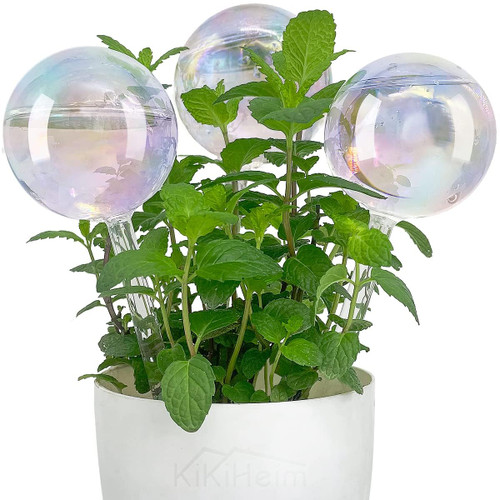 KiKiHeim 3Pcs Plant Watering Globes, Rainbow Self Watering Globes, Hand Blown Self Watering Planter Insert Spikes Plant Accessories, Glass Water Bulbs for Plants KiKiHeim 3Pcs Plant Watering Globes, Rainbow Self Watering Globes, Hand Blown Self Watering Planter Insert Spikes Plant Accessories, Glass Water Bulbs for Plants
