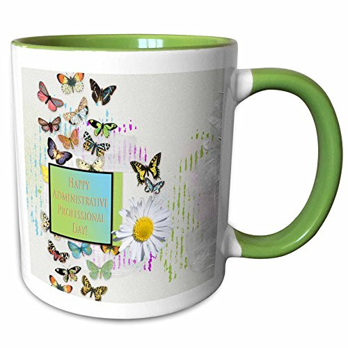 3dRose 239563_7 Pretty Butterflies And Daisy Flower, Administrative Professionals Day Mug 11 oz
