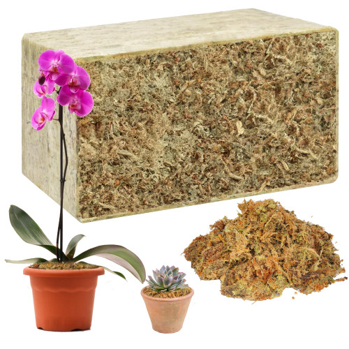 Hourleey 1.1 lb Sphagnum Moss for Plants, Premium Natural Long Fibered Dried Moss Potting, Sphagnum Peat Moss Bulk for Orchids Succulent Carnivorous Potted Plant Reptiles Medium Sarracenia Hourleey 1.1 lb Sphagnum Moss for Plants, Premium Natural Long Fibered Dried Moss Potting, Sphagnum Peat Moss Bulk for Orchids Succulent Carnivorous Potted Plant Reptiles Medium Sarracenia