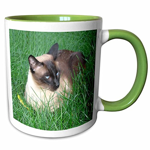 3dRose 4496_7 Siamese Cat Mug 11 oz