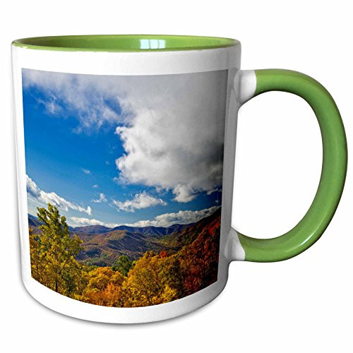 3dRose 93179_7 Blue Ridge Parkway Mug 11 oz