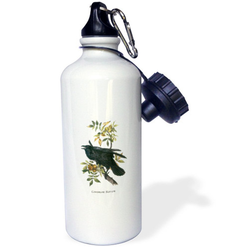 3dRose "Common Raven by John James Audubon" Sports Water Bottle, 21 oz, White 3dRose "Common Raven by John James Audubon" Sports Water Bottle, 21 oz, White