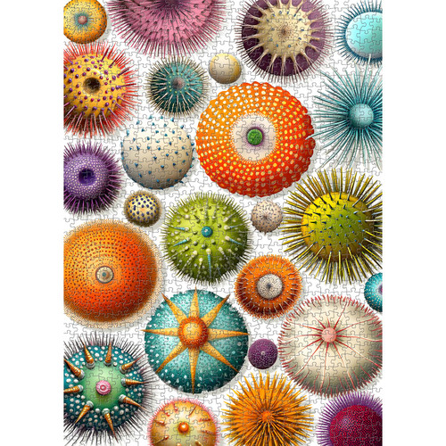 PICKFORU Colorful Sea Urchin Puzzles for Adults 1000 Pieces, Ocean Beach Puzzle, Challenging Puzzles for Adults, Nature Hard Jigsaw Puzzles as Ocean Themed Gift