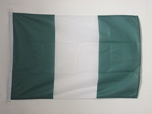 AZ FLAG Nigeria Flag 2' x 3' for Outdoor - Nigerian Flags 90 x 60 cm - Banner 2x3 ft Knitted Polyester with Rings