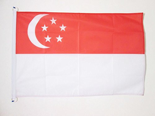 AZ FLAG Singapore Flag 2' x 3' for Outdoor - Singaporean Flags 90 x 60 cm - Banner 2x3 ft Knitted Polyester with Rings