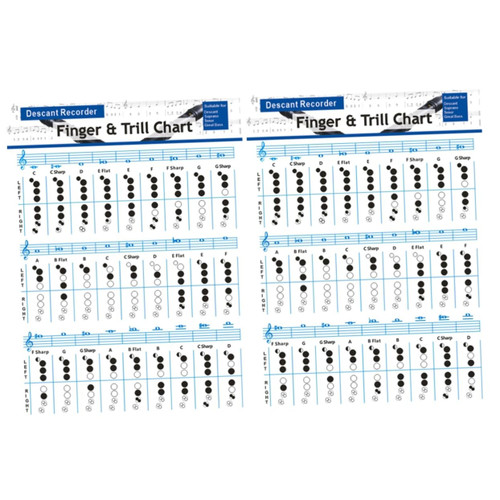 2pcs chord chart for flute beginner fingering chart poster guitar chord poster flute finger chart guitar chords poster ukuleles practice supplies 157g coated paper music student