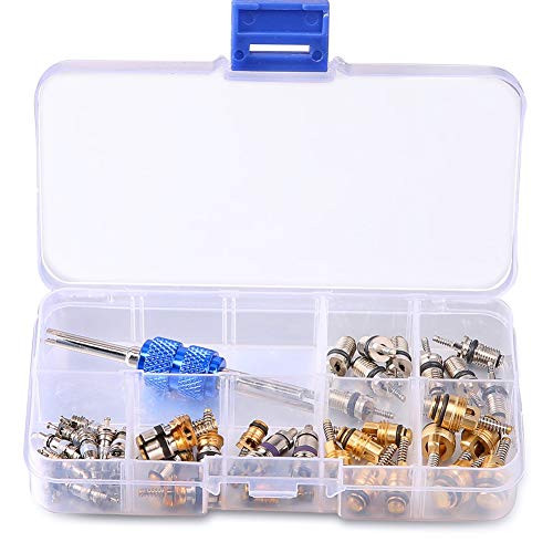 Wefond 39pcs Car Refrigeration A/C Valve Core Kit R12 R134A Automotive Air Conditioning Tire Valve Stem Cores with Removal Tool Assortment