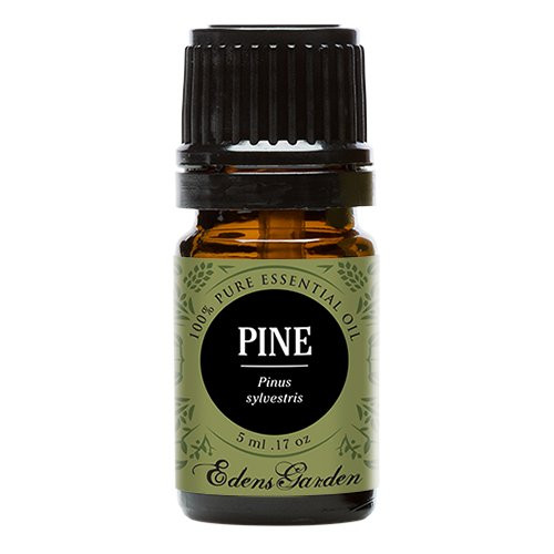 Edens Garden Pine Essential Oil, 100% Pure Therapeutic Grade (Highest Quality Aromatherapy Oils), 5 ml Edens Garden Pine Essential Oil, 100% Pure Therapeutic Grade (Highest Quality Aromatherapy Oils), 5 ml