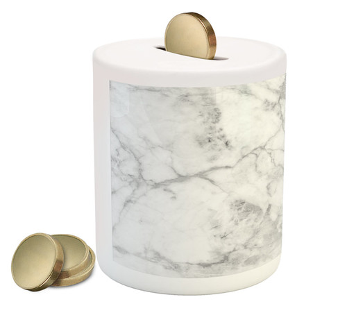 Ambesonne Marble Piggy Bank, Fractured Lines Stained Grunge Surface Effects Ceramic Style Background Motif, Printed Ceramic Coin Bank Money Box for Cash Saving, Grey Dust Ambesonne Marble Piggy Bank, Fractured Lines Stained Grunge Surface Effects Ceramic Style Background Motif, Printed Ceramic Coin Bank Money Box for Cash Saving, Grey Dust
