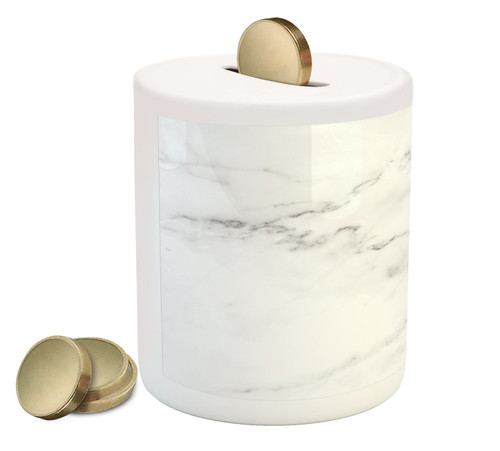 Ambesonne Marble Piggy Bank, Mineral Nature Surface Motif Organic Rock Formation Models Industrial Print, Printed Ceramic Coin Bank Money Box for Cash Saving, Grey Dust