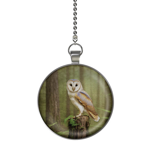 Gotham Decor Barn Owl Double Sided Ceiling Fan and Light Pull Chain Pendant/Owl Fan Pull