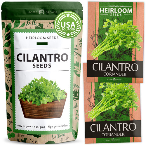 HOME GROWN 500+ Cilantro Seeds for Planting Indoors or Outdoors - Heirloom, Non-GMO Coriander Seeds, Grow Your Own Cilantro Plant - Culinary Herb Seeds for Your Herb Garden HOME GROWN 500+ Cilantro Seeds for Planting Indoors or Outdoors - Heirloom, Non-GMO Coriander Seeds, Grow Your Own Cilantro Plant - Culinary Herb Seeds for Your Herb Garden