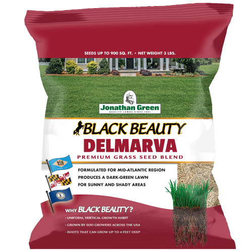 Jonathan Green (10390) Black Beauty Delmarva Grass Seed (Made for Maryland, Delaware, Virginia) - Cool Season Lawn Seed (3 lb)