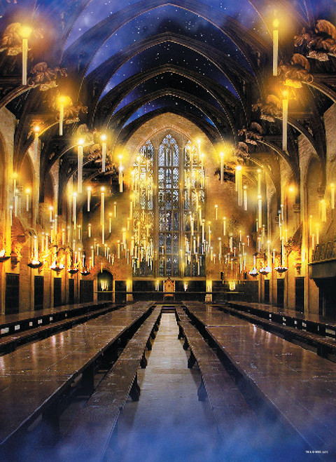 Harry Potter Great Hall 1000 Piece Jigsaw Puzzle | Artwork from Harry Potter Films Featuring Hogwarts Great Hall | Official Collectible Harry Potter Merchandise Harry Potter Great Hall 1000 Piece Jigsaw Puzzle | Artwork from Harry Potter Films Featuring Hogwarts Great Hall | Official Collectible Harry Potter Merchandise