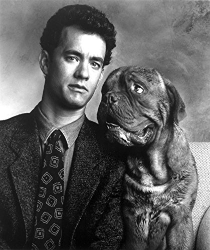Tom Hanks wearing a patterned tie and a dog Photo Print (8 x 10)