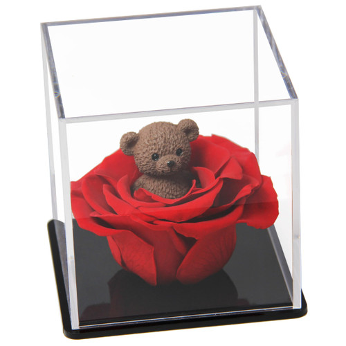 Preserved Rose Gifts for Women?Teddy Bear Rose Forever Rose Flower Gifts for Mom Girlfriend Her Grandma Wife Wedding Anniversary Valentines Day Mothers Day Christmas Birthday Gifts from Daughter Son Preserved Rose Gifts for Women?Teddy Bear Rose Forever Rose Flower Gifts for Mom Girlfriend Her Grandma Wife Wedding Anniversary Valentines Day Mothers Day Christmas Birthday Gifts from Daughter Son