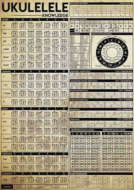 JIUFOTK Ukulele Knowledge Metal Tin Signs Ukulele Study Guide Posters Ukulele Teaching Plaque Decoration Classroom Home Room Wall Art Decor 12x16 Inches