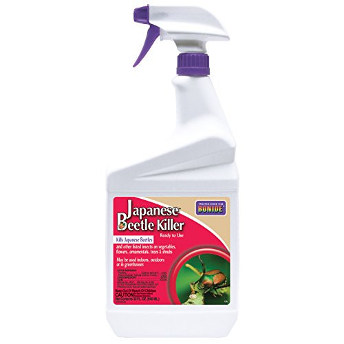 BONIDE PRODUCTS 196 Ready-to-Use Japan Beet Killer, 32 fl oz BONIDE PRODUCTS 196 Ready-to-Use Japan Beet Killer, 32 fl oz