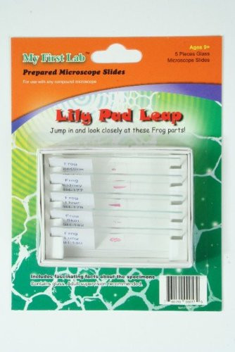 Lily Pad Leap 5pc Slide Set