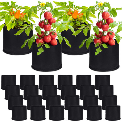 Zubebe 30 Pcs Plant Grow Bags Thickened Nonwoven Fabric Plant Pots Heavy Duty Aeration Plant Growing Bags for Garden Planting Nursery Flowers Fruits Vegetables Container, Black (3 Gallon)