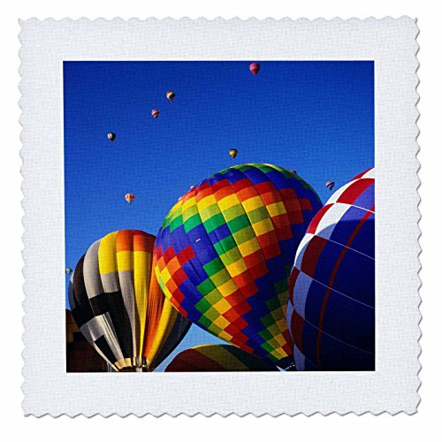 3D Rose Hot Air Albuquerque Balloon Festival New Mexico Square Quilt 8 x 8