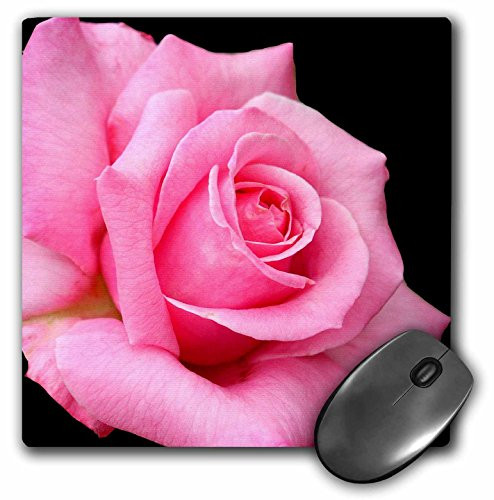 3dRose LLC 8 x 8 x 0.25 Inches Mouse Pad, Pink Rose (mp_3661_1)