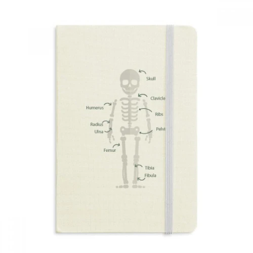 Cartoon Human Bone Illustration Notebook Official Fabric Hard Cover Classic Journal Diary
