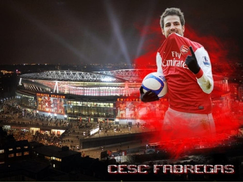 Cesc Fabregas - 24X36 Poster FCA #FCA699066