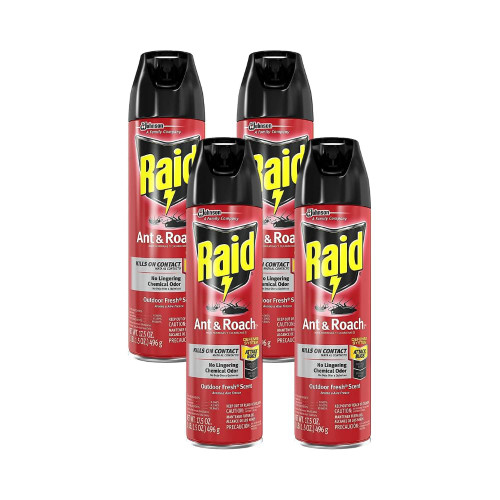 Raid Ant and Roach Killer 17.5 Ounce (Pack of 4)