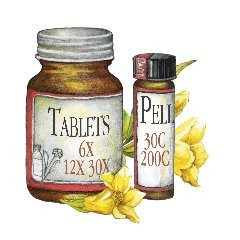 Nux Vomicas - 500 Tablets