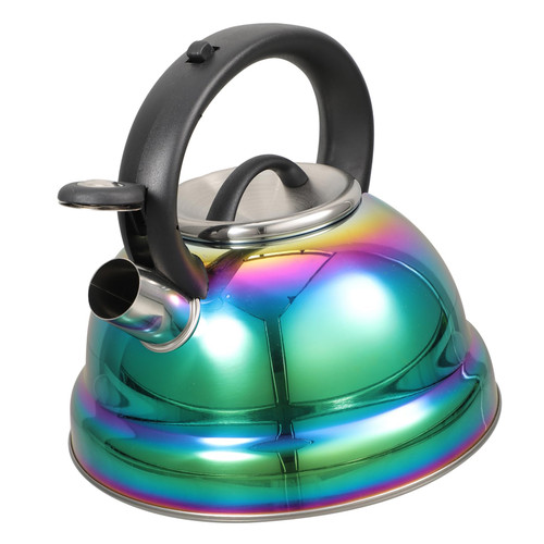KJHBV Stainless Steel Whistling Kettle Teakettle Teapot Boiling Kettle Stainless Steel Tea Pot Kungfu Teapot Electric Teapot Pour over Coffee Kettle Hot Water Boiler Gas Stove Tea Maker