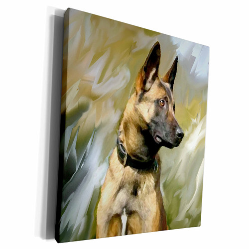 3dRose Dogs Belgian Malinois - Belgian Malinois - Museum Grade Canvas Wrap (cw_4385_1)