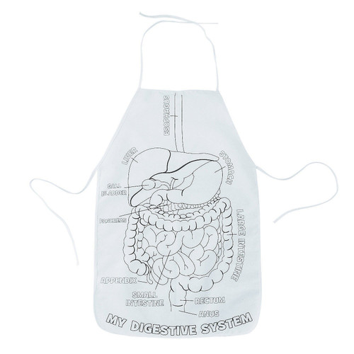 Fun Express Color Your Own Digestive System and Organs Canvas Aprons - 12 Pieces - Science Educational And Learning For Kids