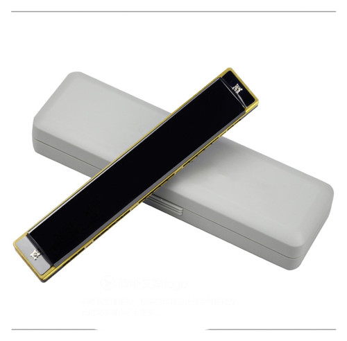 TEMKIN harmonica Harmonica 24 Hole Polyphonic C Key Harmonica Playing Black/silver Adult Beginners Playing Harmonica (Color : Bk)