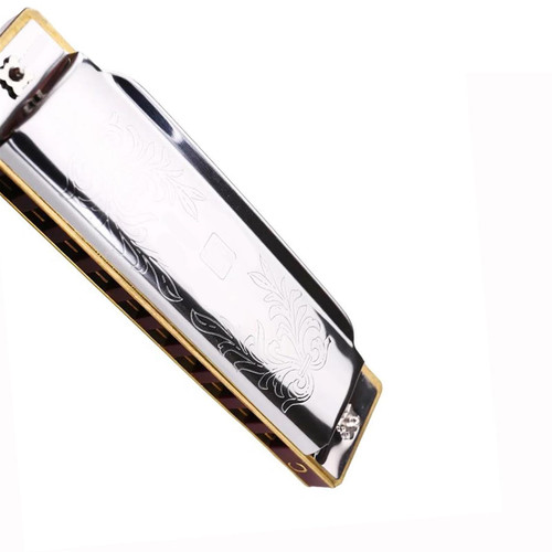 Harmonica Standard Beginner 10 Hole 20 Tone Diatonic Key Of C A D E F G Harmonica Professional (Color : Key of D)