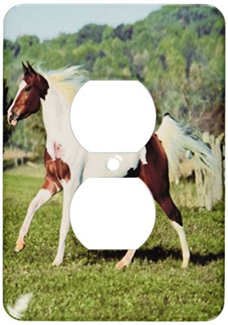 3dRose LLC lsp_53228_6 Beautiful Arab Pinto Horse 2 Plug Outlet Cover