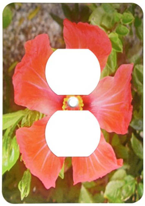 3dRose LLC lsp_46819_6 Tropical Hibiscus Bunga Raya, Flower, Flowers, Hibiscus, Hibiscus Rosa Sinensis, Plant, Plants 2 Plug Outlet Cover 3dRose LLC lsp_46819_6 Tropical Hibiscus Bunga Raya, Flower, Flowers, Hibiscus, Hibiscus Rosa Sinensis, Plant, Plants 2 Plug Outlet Cover