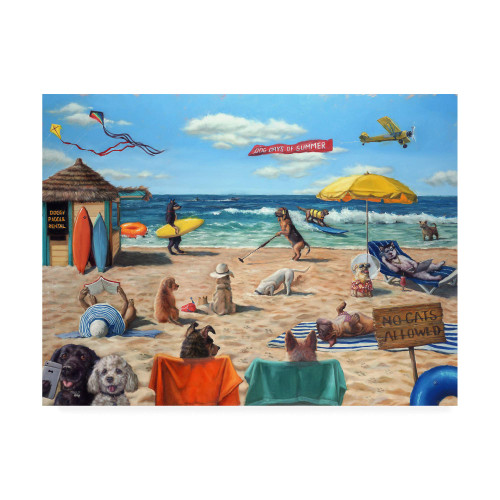 Trademark Fine Art IC01535-C2432GG Dog Beach by Lucia Heffernan, 24x32, Multiple