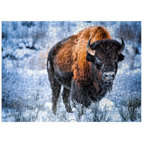 American Bison Crouching in Snow in Winter, Yellowstone National Park - Premium 500 Piece Jigsaw Puzzle for Adults