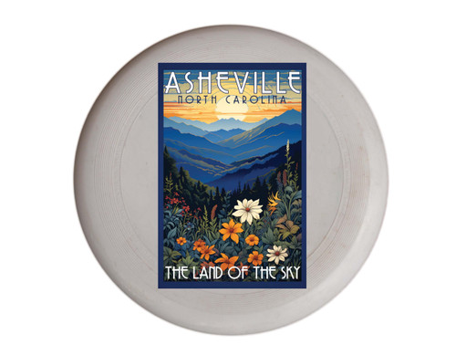 Asheville North Carolina Design F Souvenir Frisbee Flying Disc 2-Pack