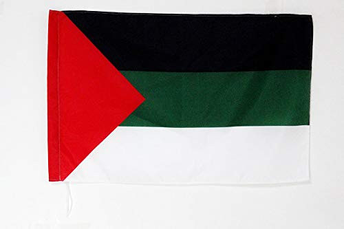 AZ FLAG Pan-Arabism Flag 2' x 3' for a Pole - Arabist Flags 60 x 90 cm - Banner 2x3 ft with Hole