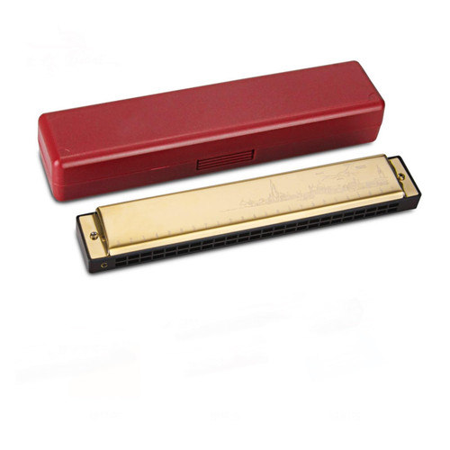TEMKIN harmonica Harmonica 24 Hole Polyphonic C Key Adult Beginners To Play Musical Instruments Harmonica (Color : Gold)