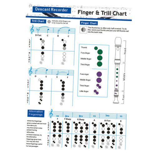 ibasenice 5pcs Chord Chart for Flute Beginner Clarinet Supplies Flute Practicing Supplies Fingering Chart Poster Ukuleles Music Stuff Flute Chord Chart Beet 157g Coated Paper Student Guitar