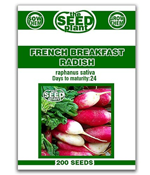 French Breakfast Radish Seeds - 200 Seeds Non-GMO