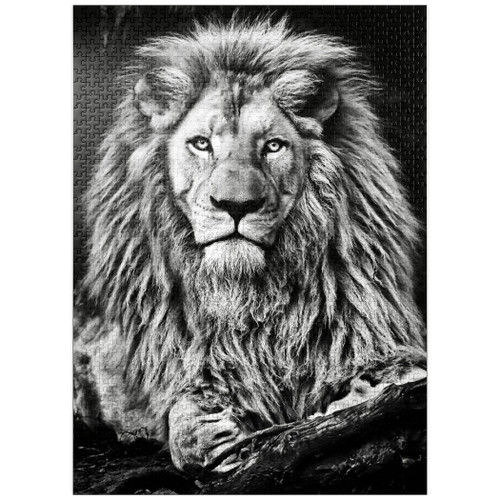 Black and White Image of Majestic Lion - Premium 1000 Piece Jigsaw Puzzle for Adults