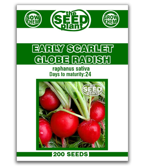 Early Scarlet Globe Radish Seeds - 200 Seeds Non-GMO