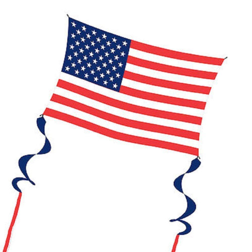 WindNSun Supersized Nylon Kite with String, Handle and SkyTails (USA Flag) WindNSun Supersized Nylon Kite with String, Handle and SkyTails (USA Flag)