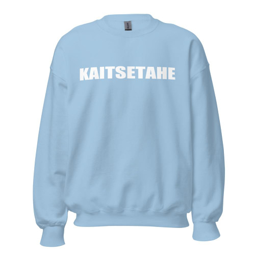 Banisiworld Zelensky Ukraine Estonian Parliament Kaitsetahe - Will To Defend Unisex Sweatshirt Light Blue