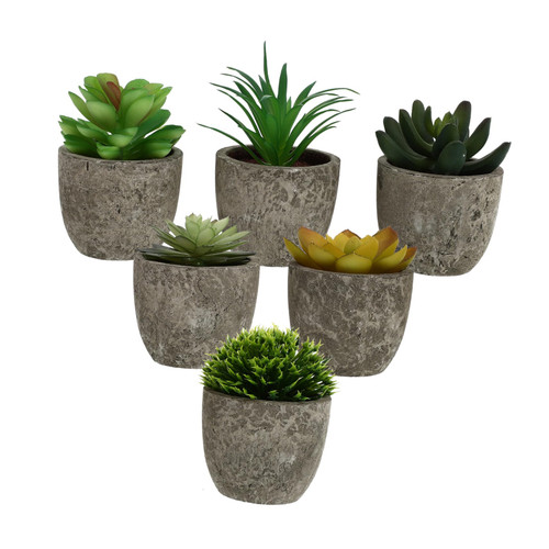 IMIKEYA 12 Pcs Simulation Succulent Potted Plant Pots for Indoor Plants Fake Succulent Potted Plants Faux Succulents Cute Decorations Sandbox Fake Pulp Basin Artificial Flower Arrangement IMIKEYA 12 Pcs Simulation Succulent Potted Plant Pots for Indoor Plants Fake Succulent Potted Plants Faux Succulents Cute Decorations Sandbox Fake Pulp Basin Artificial Flower Arrangement