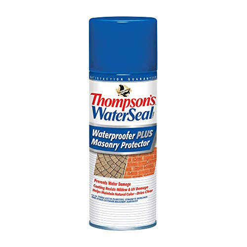 Thompson's Water Seal TH.023100-18 Plus Masonry Protector-Clear Aerosol Waterproofer,